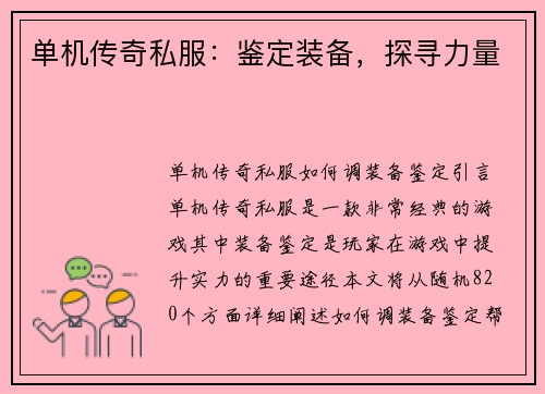 单机传奇私服：鉴定装备，探寻力量